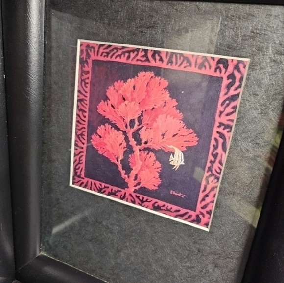 Pair of Original watercolors of red coral framed and signed by artist Peter Bren - Picture 5 of 9